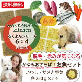 あす楽 犬 手作り ごはん 国産 無添加 いわし・サメ 各250g 2種セット フィッシュ 魚 野菜 アレルギー 痒み 皮膚炎 外耳炎 体質改善 低脂肪 高タンパク 涙やけ 健康 低脂肪 ご飯 ドッグフード ウェット 食べない 偏食 水分たっぷり 栄養食 無料健康相談つき 初回 送料無料