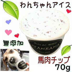 犬用のアイスクリーム Lサイズ70g 馬肉チップクリーム 無添加 消化のメカニズムに熟慮した 中・大型犬 多頭飼いの方 お得用 暑い 熱中症対策 食欲不振 夏バテ 体温調節 ひんやり 冷たい ギフト プレゼント アレルギー対応 6600円以上送料無料 ワンバナ