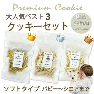   Y v~A lCxXg3Zbg NbL[ n RGUCQ10 rx[ veC Y  g[c hbO lC v[g ˎR WANBANA oi 6600~ȏ