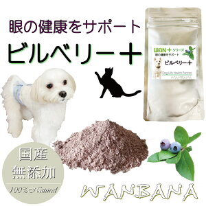 犬用健康管理用品 ビルベリー サプリの人気商品 通販 価格比較 価格 Com