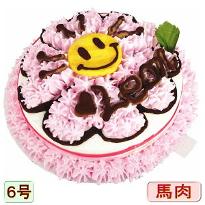 pP[L  nj[u[ Iׂ4`6TCY AM[Ή n  ؐn a o[Xf[ SlC  j Mtg 蕨 ybg hbO  LO R