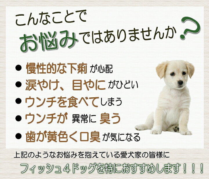 楽天市場 犬のトッピング材料に フィッシュ4サーモンオイル Fish4dogs ドライフード サーモンオイル100 真空ポンプ 150ml 無添加 Dha Epa オメガ３ アレルギー体質の愛犬に 魚 フィッシュ など嗜好性抜群 イギリス産 6600円以上送料無料 ペットフード Wanplus