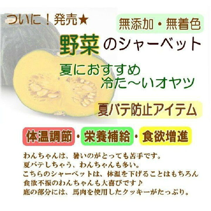 楽天市場 犬のアイス かぼちゃシャーベット 80g 無添加 暑い 熱中症対策 食欲不振 夏バテ 体温調節 フルーツ 果物 野菜 ひんやり 冷たい 贈り物 ギフト プレゼント アレルギー対応 6600円以上送料無料 ワンバナ ペットフード Wanplus楽天市場店