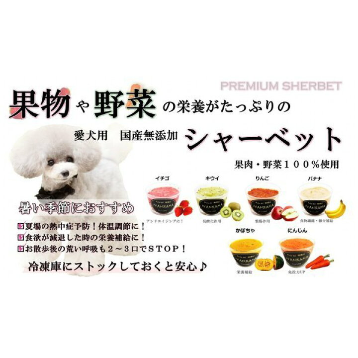 楽天市場 犬のアイス シャーベット 6種類 70gセット いちご バナナ りんご キウイ 消化のメカニズムに熟慮した 無添加 お得セット 暑い 熱中症対策 食欲不振 夏バテ 体温調節 フルーツ 果物 ひんやり 冷たい 贈り物 ギフト プレゼント アレルギー対応 6600円以上送料 楽天市場 犬のアイス シャーベット 6種類 70gセット いちご バナナ りんご キウイ 消化のメカニズムに熟慮した 無添加 お得セット 暑い 熱中症対策 食欲不振 夏バテ 体温調節 フルーツ 果物 ひんやり 冷たい 贈り物 ギフト プレゼント アレルギー対応 6600円以上送料