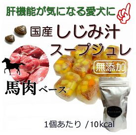 楽天市場 犬 手作り スープ 冷凍の通販