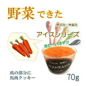 シャーベット プレゼント ドッグフードの人気商品 通販 価格比較 価格 Com