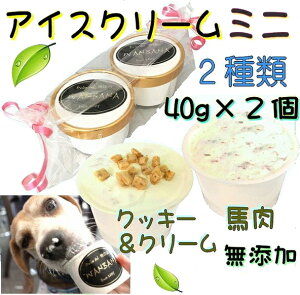 アイスクリーム 贈り物 ペットの人気商品 通販 価格比較 価格 Com