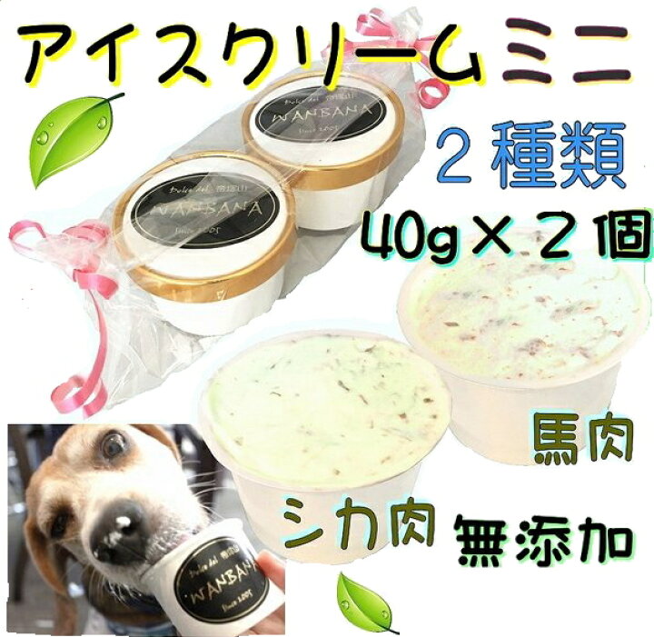 楽天市場 あす楽 犬用のアイスクリーム馬肉と鹿肉入り2種類 ミニサイズ40g セット無添加 小型犬用sサイズ 暑い 熱中症対策 食欲不振 夏バテ 体温調節 ひんやり 冷たい 贈り物 ギフト 贈り物 プレゼント アレルギー対応 6600円以上送料無料 ワンバナ ペットフード 楽天市場 あす楽 犬用のアイスクリーム馬肉と鹿肉入り2種類 ミニサイズ40g セット無添加 小型犬用sサイズ 暑い 熱中症対策 食欲不振 夏バテ 体温調節 ひんやり 冷たい 贈り物 ギフト 贈り物 プレゼント アレルギー対応 6600円以上送料無料 ワンバナ ペットフード