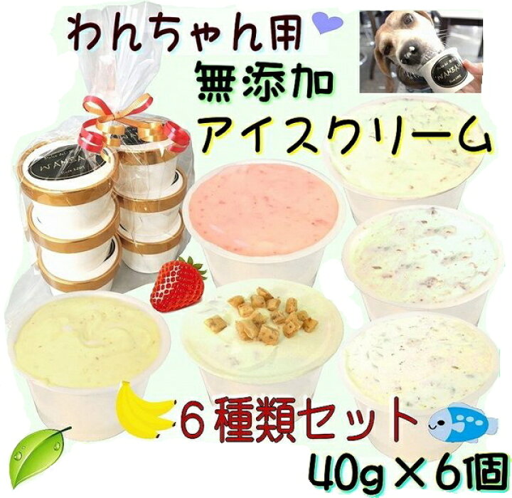 楽天市場 犬のアイスクリーム 6種類ミニサイズ40gセット 馬肉 煮干 いちご バナナ 鹿肉 クッキークリーム 無添加 小型犬用sサイズ 暑い 熱中症対策 食欲不振 夏バテ 体温調節 ひんやり 冷たい ギフト プレゼント アレルギー対応 6600円以上送料無料 ワンバナ