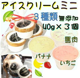 楽天市場 アイスクリーム おやつ ドッグフード サプリメント 犬用品 ペット ペットグッズの通販
