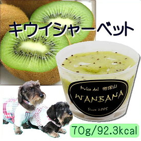 楽天市場 フルーツシャーベット 適正犬種チワワ 犬用品 ペット ペットグッズ の通販