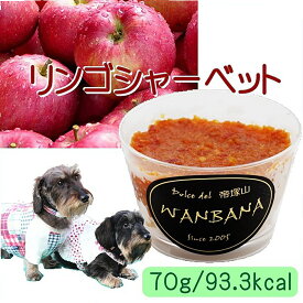 楽天市場 フルーツシャーベット 適正犬種チワワ 犬用品 ペット ペットグッズ の通販