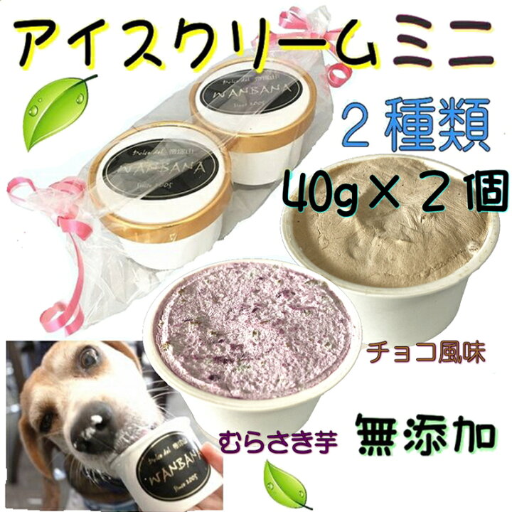 楽天市場 犬のアイス チョコ風味アイス キャロブと馬肉チップ むらさき芋アイス 馬肉チップ２種類 ミニサイズ40gセット 無添加 消化のメカニズムに熟慮した 小中型犬用sサイズ 夏 熱中症対策 食欲不振 体温調節 プレゼント アレルギー対応 6600円以上送料無料 ワンバナ