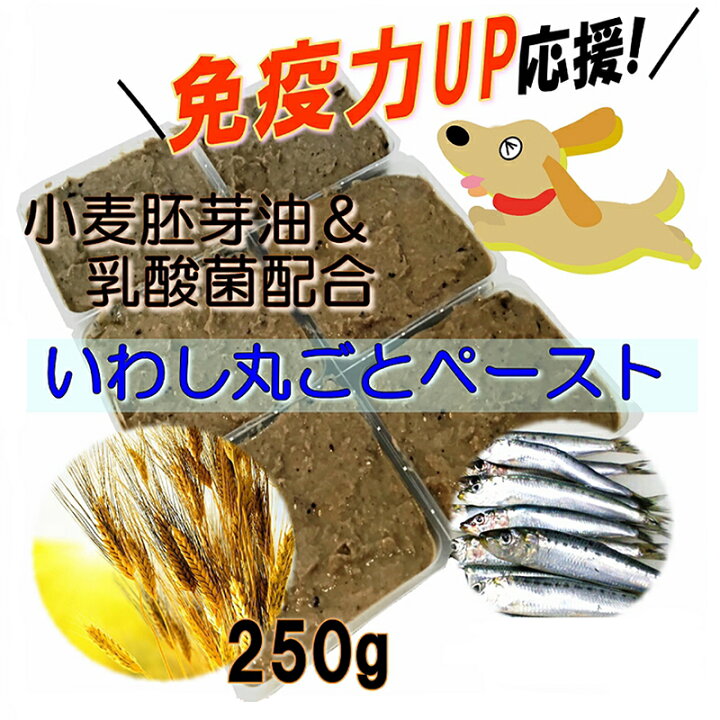 楽天市場 犬猫用のトッピングや手作り食材 皮膚の痒み 免疫力に 新鮮国産いわし骨丸ごとペースト 小麦胚芽油 乳酸菌 250g 小分けトレー 魚の栄養 オメガ３やカルシウムたっぷり パキっと手で切り離し可 加熱済 解凍するだけ アレルギー体質に 便利 無添加 帝塚山
