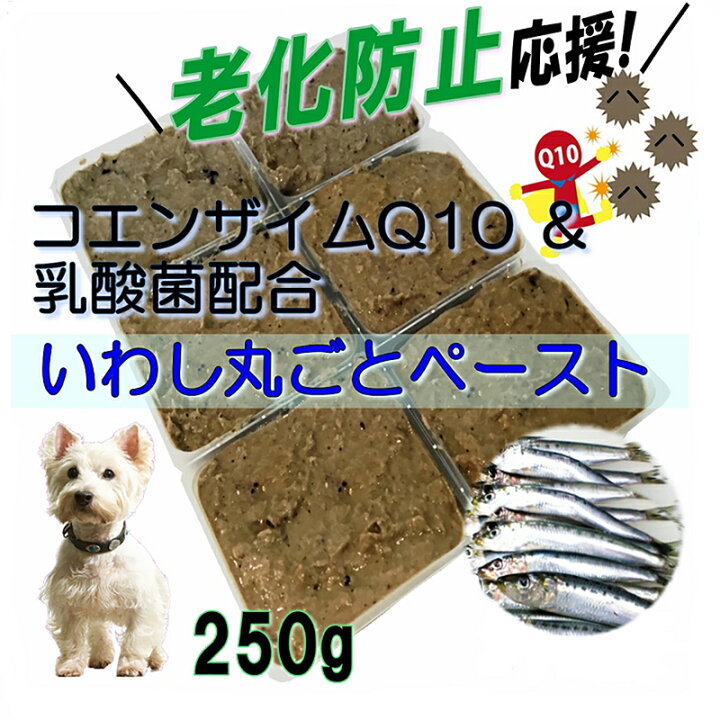 楽天市場 犬の 国産いわし丸ごとペースト コエンザイムq10 乳酸菌配合 小分けトレー入り 250g 手作り食 ごはん トッピング 魚 フィッシュ お手軽 無添加 アレルギー体質の愛犬も 新鮮 抗酸化作用 コエンザイム 涙やけ 高タンパク おいしい 帝塚山ワンバナ 冷凍 6600円 楽天市場 犬の 国産いわし丸ごとペースト コエンザイムq10 乳酸菌配合 小分けトレー入り 250g 手作り食 ごはん トッピング 魚 フィッシュ お手軽 無添加 アレルギー体質の愛犬も 新鮮 抗酸化作用 コエンザイム 涙やけ 高タンパク おいしい 帝塚山ワンバナ 冷凍 6600円
