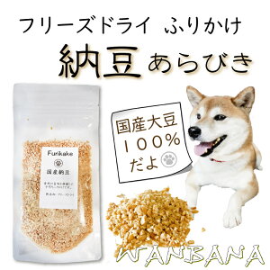 Lp̂ӂ肩 t[YhC Y[т 40g Y哤100gp Y  ȂƂ g[c  gbsO A`GCWO hbO ˎRWANBANA