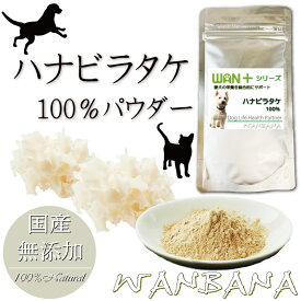 希少価値！幻のきのこハナビラタケ粉末サプリメント1袋30g　純はなびらたけ100％犬猫用 自然の食物で打ち勝つ力を ベーターグリカンはアガリクス茸の3倍強 食物繊維も豊富　アレルギーのわんちゃんにも パピーからシニアまで 本気で命に向き合う19年間　ワンバナ無料健康相談