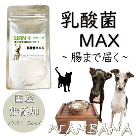 キュルキュルお腹から解放!犬猫用にサプリメント乳酸菌MAX50g 5種類のプロバイオティクス腸内環境を整える胃酸・胆汁に負けない食欲復活 毎日よく食べる幸せ ごはんにかけて腸から元気に体質改善 パピーからシニアまで 本気で命に向き合う19年間ワンバナ 無料健康相談