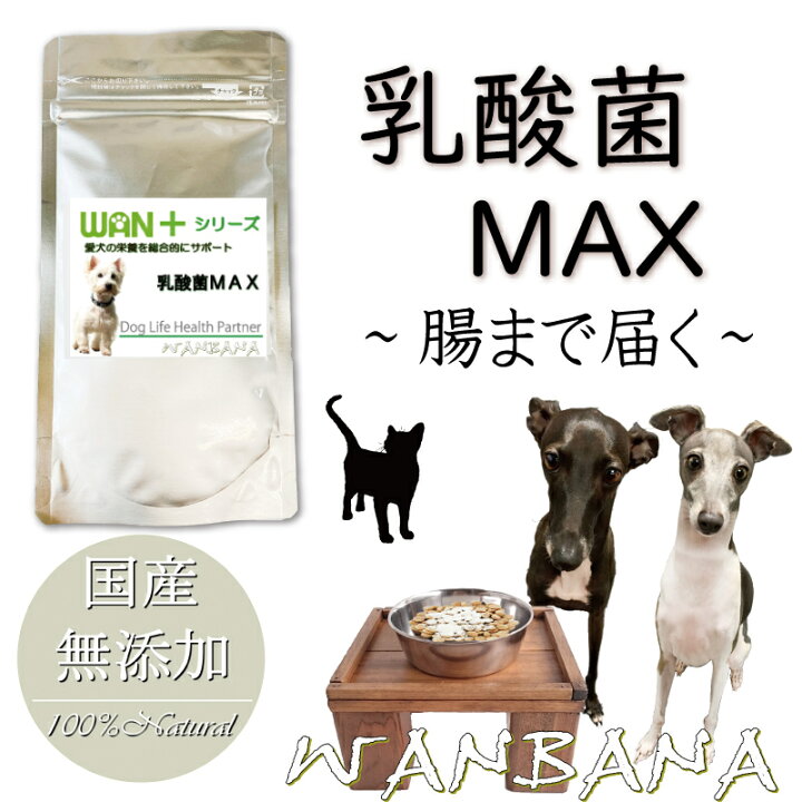 楽天市場 犬 猫 用 サプリメント Wanプラス シリーズ 乳酸菌 Max 腸まで届く わんちゃん 猫ちゃんの健康を 天然 腸内環境 ビフィズス プロバイオティクス Wanbana正規販売店 6600円以上送料無料 ペットフード Wanplus楽天市場店
