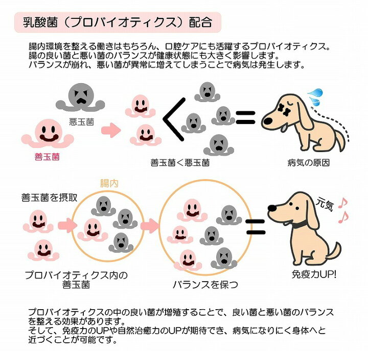 楽天市場 犬 猫 用 サプリメント Wanプラス シリーズ 乳酸菌 Max 腸まで届く わんちゃん 猫ちゃんの健康を 天然 腸内環境 ビフィズス プロバイオティクス Wanbana正規販売店 6600円以上送料無料 ペットフード Wanplus楽天市場店