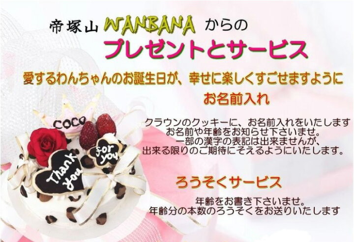 楽天市場 犬 ケーキ 名入れ可 アレルギー対応 野菜 馬肉生地 エレガントデコ 4号 サイズ お誕生日 バースデー 無添加で安心人気 お名前入り可 おやつ お祝い ギフト 贈り物 ペット ドッグ わんこ 記念 口コミ かわいい ゴージャス 帝塚山ワンバナ 6600円以上送料無料