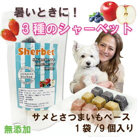 犬用アイス 3種のフルーツシャーベット 9個入り 無添加 さめ フルーツ 暑い時の熱中症対策 食欲不振 夏バテ 体温調節 野菜 ダイエット中のわんちゃんも低カロリーで安心 ひんやり冷たい 贈り物 ギフト プレゼント アレルギー対応 涙やけに ワンバナ