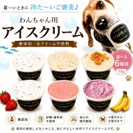 犬用アイスクリーム 無添加 Lサイズ 70g 熱中症対策 食欲不振 選べる6種類 介護食にも◎ 夏バテ 体温調節…