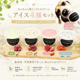 【送料無料】犬用アイス 無添加 4種類セット 40g×4個 馬肉・いちご・鹿肉・ツナ＆サーモン 人気 夏 おやつ ギフトに お中元 暑中見舞 冷凍 誕生日 プレゼント アレルギー対応