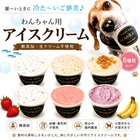 【送料無料】犬用アイス 無添加 6種類セット 40g×6個 馬肉・紫芋・いちご・鹿肉・ツナ＆サーモン・クッキー＆クリーム 犬 アイスクリーム 夏 おやつ ギフトに お中元 暑中見舞 冷凍 誕生日 プレゼント