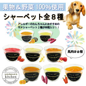 犬用シャーベット 選べる8種類 80g 無添加 野菜 果物 馬肉 さめ 暑い 熱中症対策 食欲不振 夏バテ 体温調節 フルーツ ひんやり 冷たい 贈り物 ギフト プレゼント アレルギー対応 ダイエット ワンバナ アイス 中元 残暑見舞い