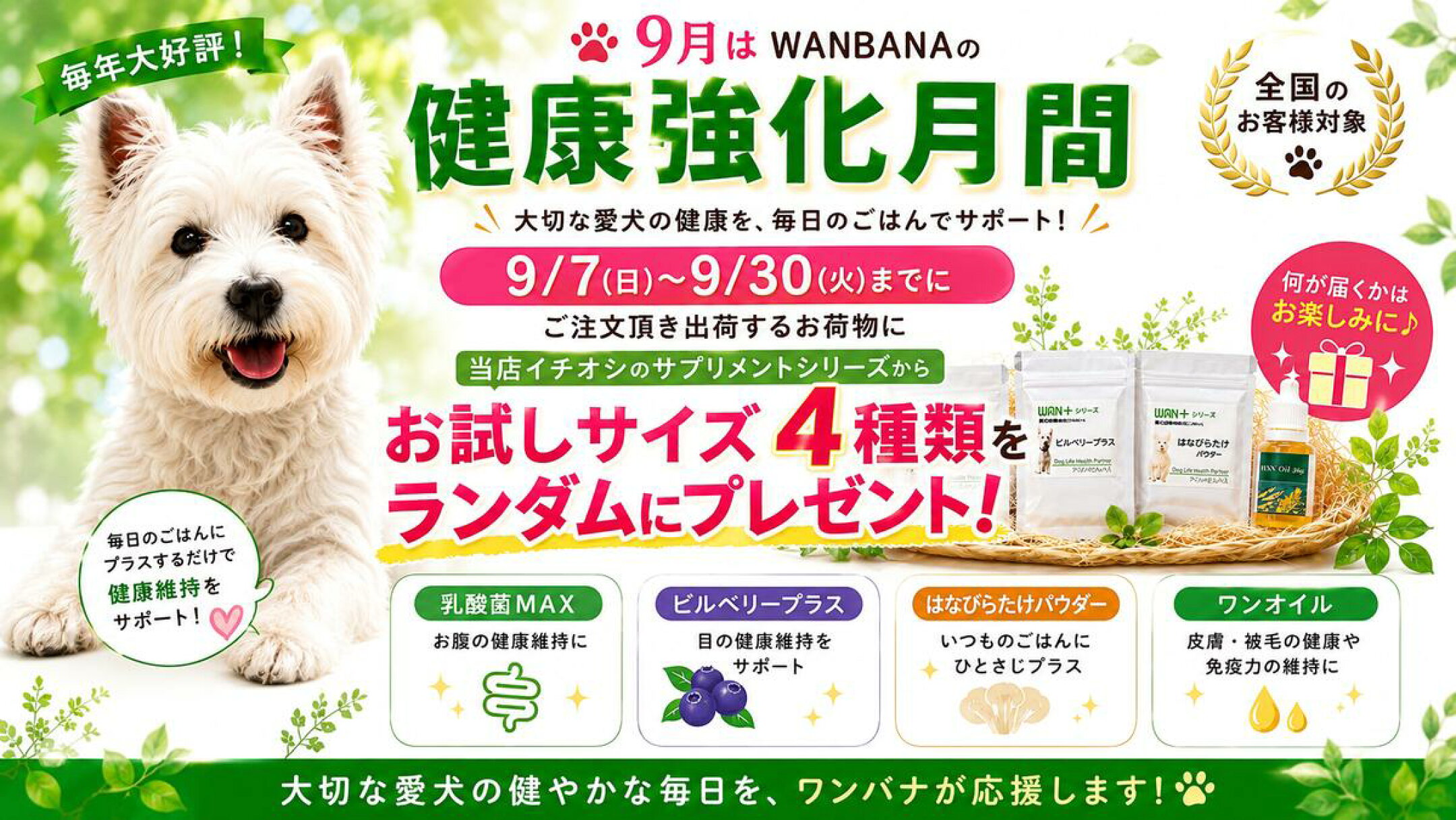 9月7日～30日は健康強化月間