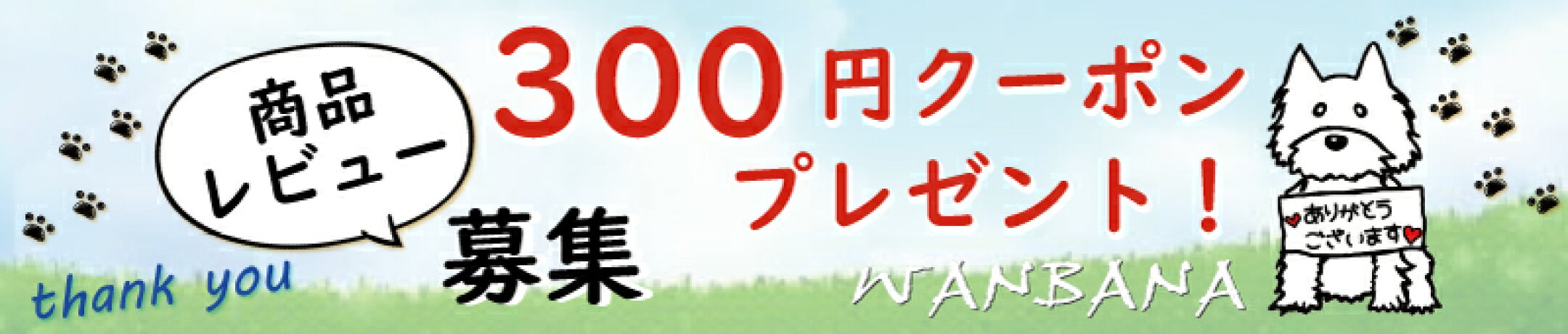 商品レビュー投稿で次回使えるクーポンプレゼント中♪