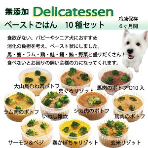 LpJbv͂ y[XgfJebZ10ރZbg yoOKIps[VjA܂őсIJ^𓀃`OKIYYJ[łɂ 񂿂