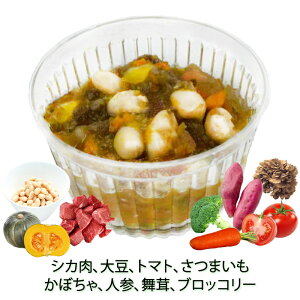 p̃t[h VJƑ哤̃~lXg[l Y EFbg͂ aELÕfBi[Mtg Ƀsb^!IVȍKς WrGՂ q[}O