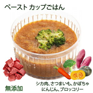 pJbv͂y[Xg󎭓̃|gt yI`Ɩ؂̎|ÏkIԂɌ܂Ă ps[`VjA܂ŊHIȒP`OKIۂ  YY J