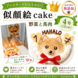 犬用の似顔絵ドッグケーキ SNS映え人気 無添加 バースデー 1頭描き/野菜と馬肉生地 4号サイズ直径12センチ大 誕生日やプレゼントギフトに 幸せいっぱい心のこもった記念日おやつ 特別なお祝い オーダー かわいい 小中大型犬 えさ ごはん フード
