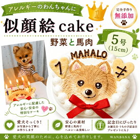 犬用 似顔絵ドッグケーキ SNS映え人気 無添加 バースデー 1頭描き 野菜と馬肉生地 5号サイズ直径15センチ大 誕生日やプレゼントギフトに 幸せいっぱい心のこもった記念日おやつ 特別なお祝い オーダー かわいい 小中大型犬 えさ ごはん フード 創業21年安心と実績ワンバナ