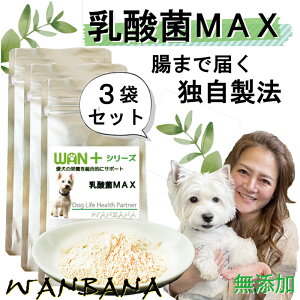 LL LpɃTvg_MAX50g Pi 3Zbg 5ނ̃voCIeBNX𐮂ݎ_E_`ɕȂH~ 悭HׂK ͂ɂ