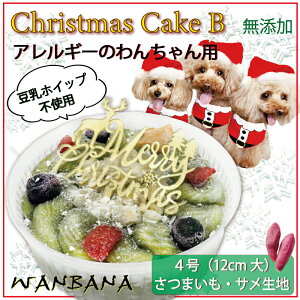 p NX}XP[LB HׂTCY ܂ƃTn 4 12cm AM[̂񂿂p HׂTCYNEWfUC sgp J[ ^pN h{_t[h v[