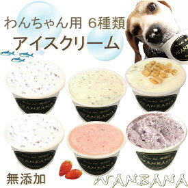 犬用のアイスクリーム 6種類お得サイズ70gセット （馬肉・紫芋・いちご・鹿肉・クッキークリーム・ツナ＆サーモン）無添加 熱中症対策 食欲不振 夏バテ 体温調節 ひんやり 冷たい ギフト プレゼント アレルギー対応 6600円以上送料無料