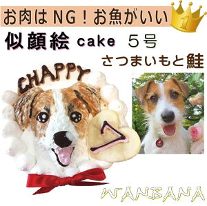 p̎GhbOP[L SNSflC Y o[Xf[ 1`/؂ƍn 5TCYa15Z` av[gMtg KςŜLO ʂȂj