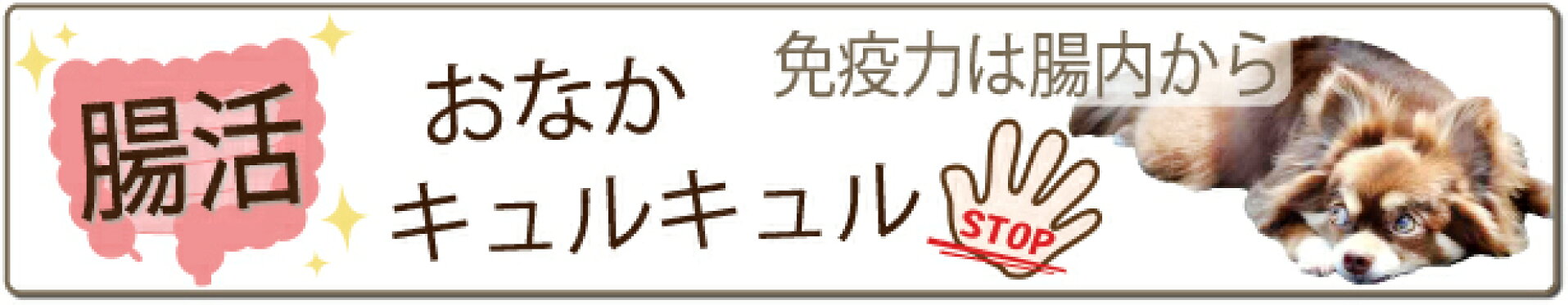 腸活，お腹，キュルキュル，乳酸菌，サプリメント，WANBANA