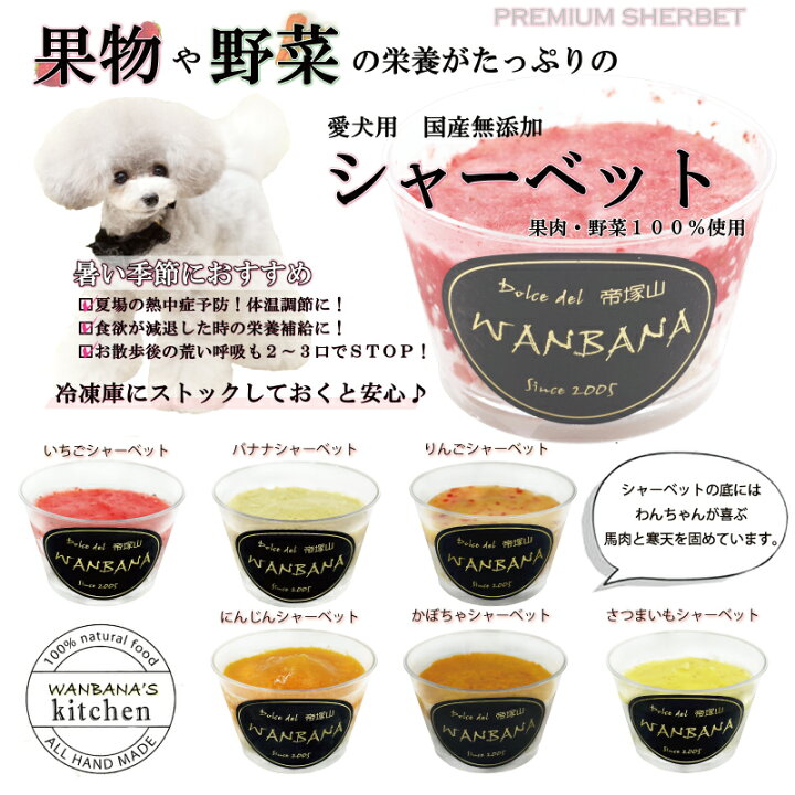 楽天市場 犬のアイス かぼちゃシャーベット 80g 無添加 暑い 熱中症対策 食欲不振 夏バテ 体温調節 フルーツ 果物 野菜 ひんやり 冷たい 贈り物 ギフト プレゼント アレルギー対応 6600円以上送料無料 ワンバナ ペットフード Wanplus楽天市場店