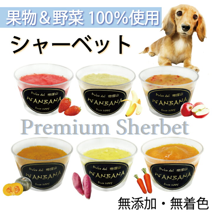 楽天市場 犬のアイス かぼちゃシャーベット 80g 無添加 暑い 熱中症対策 食欲不振 夏バテ 体温調節 フルーツ 果物 野菜 ひんやり 冷たい 贈り物 ギフト プレゼント アレルギー対応 6600円以上送料無料 ワンバナ ペットフード Wanplus楽天市場店