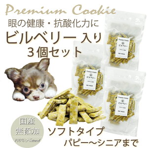   Y v~A rx[NbL[ veC  3 ZbgY  g[c hbO lC v[g ˎR WANBANA oi 6600~ȏ㑗