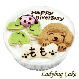 犬用のケーキ お名前入れok LadyBugケーキ4号馬肉寒天生地 無添加 バースデー・アニバーサリー・うちの子記念日選べる文字でお祝い 低カロリー安心 ヒューマングレード食材で嗜好性抜群 ごはんケーキ 大切な愛犬の記念日に幸せいっぱいカワイイケーキで楽しい時間 ギフトにも