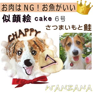 p̎GhbOP[L SNSflC Y o[Xf[ 1`/؂ƍn 6TCYa18Z` av[gMtg KςŜLO ʂȂj