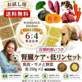 【送料無料】あす楽 犬用手作りごはんろくよん 馬肉・サメ 各250g 2種セット 国産 無添加 腎臓ケア 低リン 体質改善 低脂肪 腎臓サポート 涙やけ シニア 老犬 健康 低脂肪 ご飯 ドッグフード ウェット 食べない 偏食 鉄分 水分たっぷり 栄養食 創業21年安心と実績ワンバナ