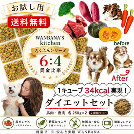 【送料無料】お試し価格 あす楽 犬用手作りごはん 馬肉と鹿肉6：野菜4 大人気 ろくよん シリーズ 1度使うと…包丁いらず！簡単レンチンOK 低カロリー鉄分たっぷり高タンパク質/たくさん食べてダイエット！大喜びの姿がうれしい！無添加厳選食材 創業21年安心と実績ワンバナ
