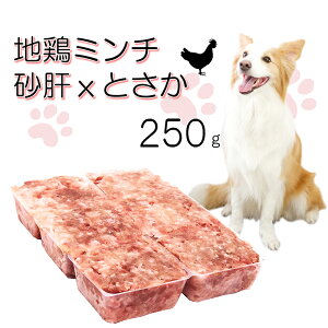 IH! pn{~`́Ƃ250gg[ 1pe/40g ^pNŒᎉb ჊񂿂悭Hׂ Nɒ Ă炦鉿iݒ gbsO